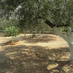 Daire Apsedes Trapezaki (Kefalonia)