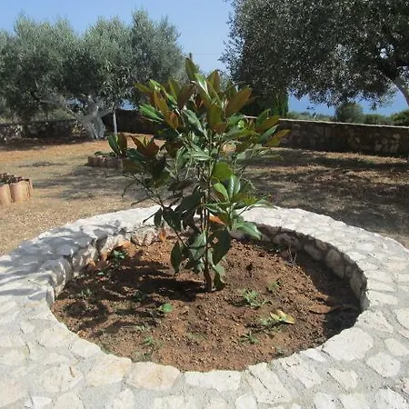 Appartamento Apsedes