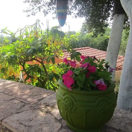 Apsedes * ترابيزاكي